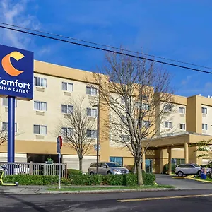 https://comfort-inn-suites-seattle.seattlehotelsites.com